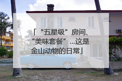 “五星级”房间、“美味套餐”…这是金山动物的日常